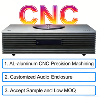 Boîtier d'amplificateur mono en aluminium usiné CNC sur mesure pour accessoires audio et vidéo
