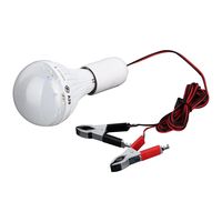 Ampoule led pas cher e27 B22 Basse tension 12v 1.5m fil et clip