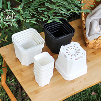 Macetas Cuadradas para Plántulas, Vasos de Plástico para Semillas, Macetas para Suculentas, Contenedores para Plantas de Jardín