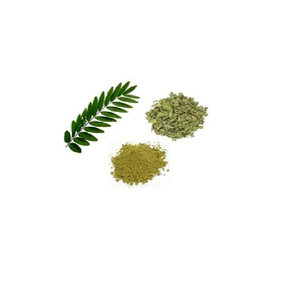 Senna Extract Natural Herbal Powder Fine Quality Plant Extract Traditional Ayurvedic Herb for Wellness Use and Bulk Supply - Product Image 3