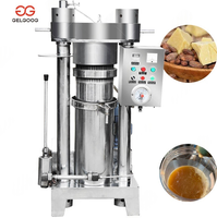 Machine Pressoir Automatique à Froid pour Beurre et Huile de Fèves de Cacao, Extracteur Expulseur de Cacao