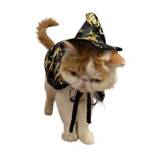 Nuovo Costume Invernale Carino per Halloween <span class=keywords><strong>Mantello</strong></span> da <span class=keywords><strong>Strega</strong></span> Stile Britannico Ecologico Facile da Indossare per Cani e Gatti - Product Image 2