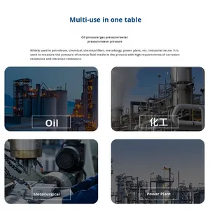 6 इंच बार/किलो/सेमी दबाव गेज मीट्रिक थ्रेड पैनल लगाया गया - Product Image 6