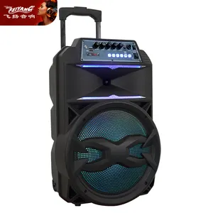 Prive Mal Goedkope Dieren Mobiele Bioscoop Party Dj Enkele 15 Inch Outdoor Bt Pa Draagbare Usb Trolley Akoestische Audio Luidspreker