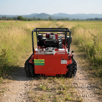 Tondeuse robotisée électrique industrielle pour la maison avec moteur 190cc, sans fil et DIY pour la coupe de l'herbe