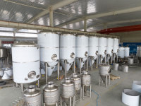 Cuve de Fermentation Conique Personnalisée 1000L en Acier Inoxydable 304 Qualité Alimentaire avec Chemise à Cavités et Couche d'Isolation pour Récipient Sous Pression
