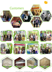 גבוהה באיכות קולגן אבקת אמנון בקנה מידה cod עור סלמון טהור hydrolyzed דג קולגן פפטיד גרגרים - Product Image 6