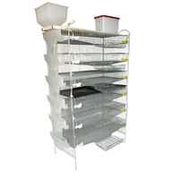 Cage à cailles automatique à 6 couches pour cage à cailles en plastique