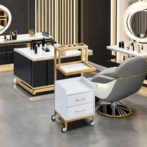 Direct Factory Sale Iron Beauty <b>Tool</b> Car Hair Salon <b>Trolley</b> for Home Office Bedroom & Apartment Use - Product Image 1