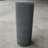 Grillage hexagonal galvanisé - Rouleau de grillage tissé galvanisé à chaud pour poulailler, clôture de jardin, construction avec dimensions personnalisées