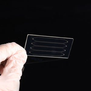 Puces et biopuces microfluidiques personnalisées - Product Image 3