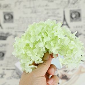 Flor Eterna de Hortensia 20g, Regalo de San Valentín, Decoración para el Hogar, Sala de Estar - Product Image 2