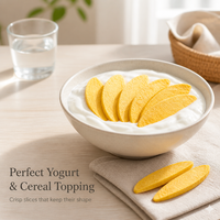 Groothandel Gedroogde Mango Snacks, Crisps, Zonder Conserveermiddelen, Gedroogd Fruit in Bulk, OEM Fabrikant, Exporteur, Directe Leverancier