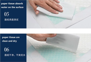 Almohadilla de Entrenamiento para Cachorros Desechable de Estilo Moderno de Proveedor Chino, Hecha de Tela y Material SAP - Product Image 5