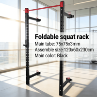 VIGFIT Support de Squat Mural Premium Pliable et Multifonctionnel avec Poulie pour Salle de Sport à Domicile