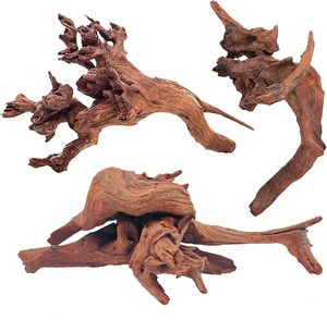 Bois flotté poreux de Cholla PKY de haute qualité, squelette de <span class=keywords><strong>cactus</strong></span> pour l'élevage de crevettes, décoration d'aquarium et biofilm - Product Image 4