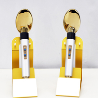 Appareil d'électroporation portable 2026 pour le lifting du visage et du cou, dispositif de mésothérapie à usage domestique, stimulation musculaire faciale