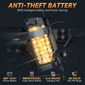 Bicicletta <span class=keywords><strong>Elettrica</strong></span> <span class=keywords><strong>Pieghevole</strong></span> DTTZH con Batteria al Litio, ODM OEM A12 48V 15Ah, 1000W di Potenza di Picco, Velocità Massima 28MPH, Freni a Disco Doppi - Product Image 3