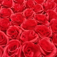 Panneau mural de fleurs artificielles en rose rouge de qualité supérieure pour la décoration de mariage, de fête ou d'événement