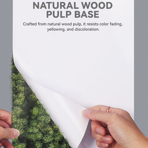 <span class=keywords><strong>Mejor</strong></span> calidad A3 A4 tamaño 115g 135g 180g 200g 230G <span class=keywords><strong>papel</strong></span> fotográfico de alto brillo profesional <span class=keywords><strong>para</strong></span> impresión de inyección de tinta - Product Image 2