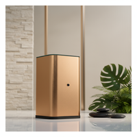 Diffuseur d'arômes électrique intelligent de luxe pour la maison et la chambre, rechargeable, sans eau, pour huiles essentielles, vente en gros