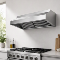Hotte aspirante électrique en acier inoxydable pour la restauration hôtelière, purificateur électrostatique de fumée d'huile, équipement de cuisine