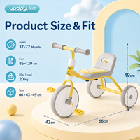 Tricycle évolutif 3-en-1 Luddy B.Duck pour bébé, poussette, vélo à pédales et porteur d'éveil pour la coordination