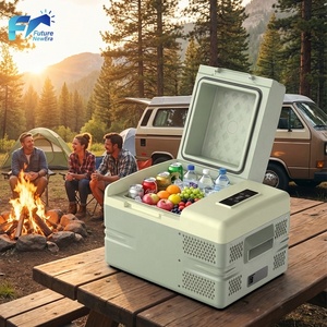 Réfrigérateur portable de camping 12L à zone unique 12V 24V Compresseur DC Congélateur Boîte de refroidissement électrique - Product Image 1