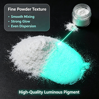 Poudre photoluminescente pour nail art, peinture à la main, pigment brillant dans le noir, effet nuit scintillante