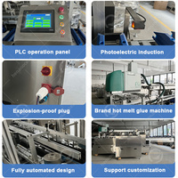 Machine d'emballage automatique de boîtes en carton pour craies, modèle OCEAN Paper Tube Package Box Machine