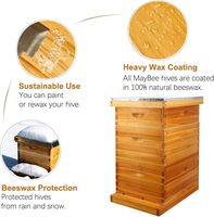 10-Rahmen-Bienenstock mit gewachstem Boden, getaucht in 100 % Bienenwachs, Bienenstock-Set inklusive 2 tiefen und 1 mittlerer Wabenkästen mit Rahmen