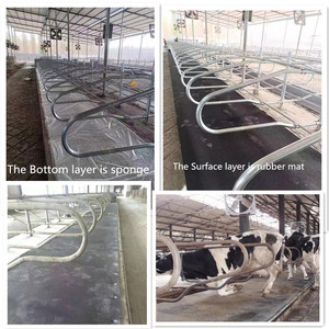 Materasso in Gomma per Bovini con Superficie ad Alta Frizione per Bestiame Aggressivo, Attrezzatura per Allevamenti Lattiero-Caseari - Product Image 2