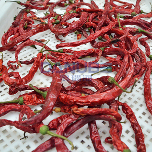 Horno de Secado de Chiles de Alta Calidad con Bomba de Calor, Máquina Deshidratadora de Chiles, Equipo Deshidratador de Chiles - Product Image 6