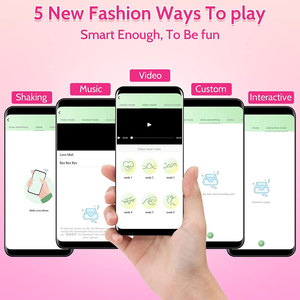 APP Sex Toys telecomando per coppie vibratore in Silicone clitoride mutandine indossabili Vibrador ragazza per adulti giocattoli sessuali per donna - Product Image 5