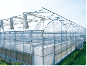 <span class=keywords><strong>Acheter</strong></span> Serre <span class=keywords><strong>De</strong></span> Yutuo Film Mince Agricole Tunnel Serre Multi Span pour Planter Légumes/<span class=keywords><strong>Tomates</strong></span>/Poivrons/Fruits - Product Image 4