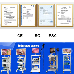 Torre de Endoscopia y Laparoscopia a <span class=keywords><strong>Precio</strong></span> Económico, Sistema de Cámara Endoscópica para Instrumentos ENT, <span class=keywords><strong>Histeroscopia</strong></span> - Product Image 2
