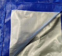 Blaue Polyethylen-beschichtete Wasserdichte Reißfeste Anti-UV Haustier-Rollplane für Outdoor-Temporäre Unterstandauskleidung