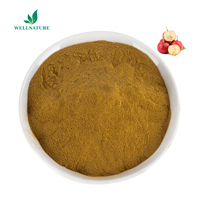 Bron Natuur Aanbod Meidoorn Fruit Extract Meidoorn Flavonoïden 30% Poeder