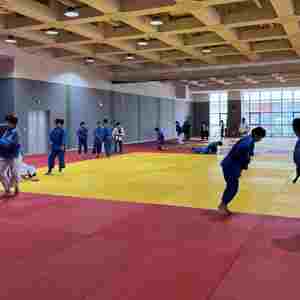 Colección IJF, Tatami de Judo de Alta Calidad, 1mx2m, Colchonetas para Grappling, 40mm de Grosor, Antideslizantes, para Entrenamiento de Artes Marciales - Product Image 6