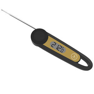 工場OEMカスタムプロモーションギフトバックライトマグネット防水デジタル食品温度計 - Product Image 1