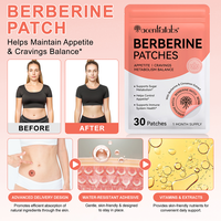 Acentiallabs Marque Privée OEM – Lot de 30 Patchs Transdermiques Végétaliens à la Berbérine pour la Vitalité et la Perte de Poids chez la Femme