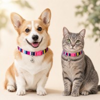 Collier pour chien classique arc-en-ciel coloré, imprimé abstrait, sangle en nylon, boucle en plastique, anneau en D, clochette, réglable, à libération rapide, léger