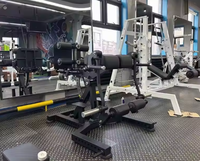Équipement de fitness professionnel pour salle de sport : Banc de musculation réglable, Machine à hyper-extension à charge libre, en acier, sécurisée