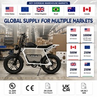 Proveedor de Bicicletas Eléctricas, Bicicleta Eléctrica Estilo Moped con Llantas Gruesas Retro, con Piezas de Repuesto, Embalaje de Exportación para Distribuidores y Compradores OEM