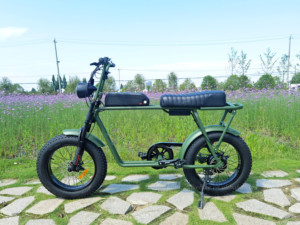 Bicicleta Eléctrica <span class=keywords><strong>2021</strong></span> Power Long Seat, Modelo Retro con Motor Trasero de 250w, Bicicleta Eléctrica 73 - Product Image 2