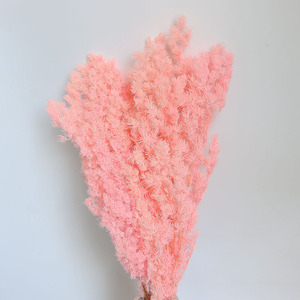 Hecho a mano europeo DIY Material conservado flor fresca pompón espárrago helecho <span class=keywords><strong>Ming</strong></span> helecho PARA EL Día de la madre y regalos del Día de San Valentín - Product Image 4
