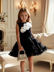 Usine pour tout-petits robes anniversaire fleur <span class=keywords><strong>fille</strong></span> robe Ropa De Bebe <span class=keywords><strong>4</strong></span> <span class=keywords><strong>ans</strong></span> <span class=keywords><strong>fille</strong></span> vêtements enfants vente en gros bébé <span class=keywords><strong>fille</strong></span> vêtements ensembles - Product Image 4