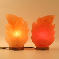 Lampe de table en sel de l'Himalaya sculptée à la main avec variateur d'intensité, en pierre naturelle, toucher réel, pour la décoration intérieure, le bien-être et le Feng Shui (motif floral)