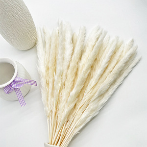 Vente chaude Naturel Séchées Pampas Herbe Lapin <span class=keywords><strong>Queue</strong></span> Pour La Décoration - Product Image 1