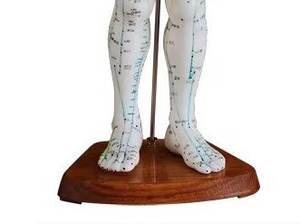 60 सेमी पुरुष मानव एक्यूपंक्चर मॉडल के साथ मानव एक्यूपंक्चर मॉडल/आईएसओ प्रमाणित प्रशिक्षण के लिए - Product Image 2